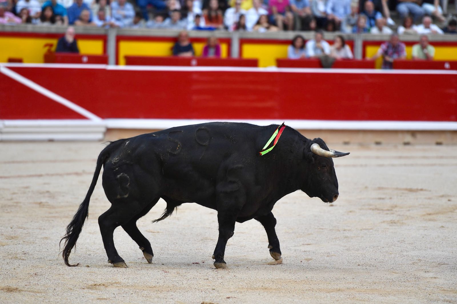 Pamplona, 5 de julio de 2018