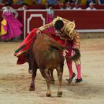 Pamplona, 5 de julio de 2018