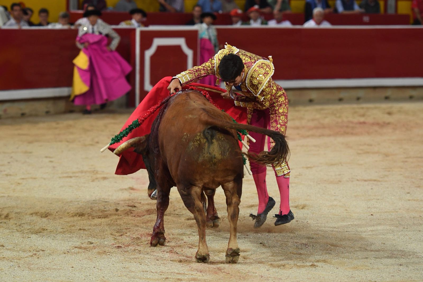 Pamplona, 5 de julio de 2018