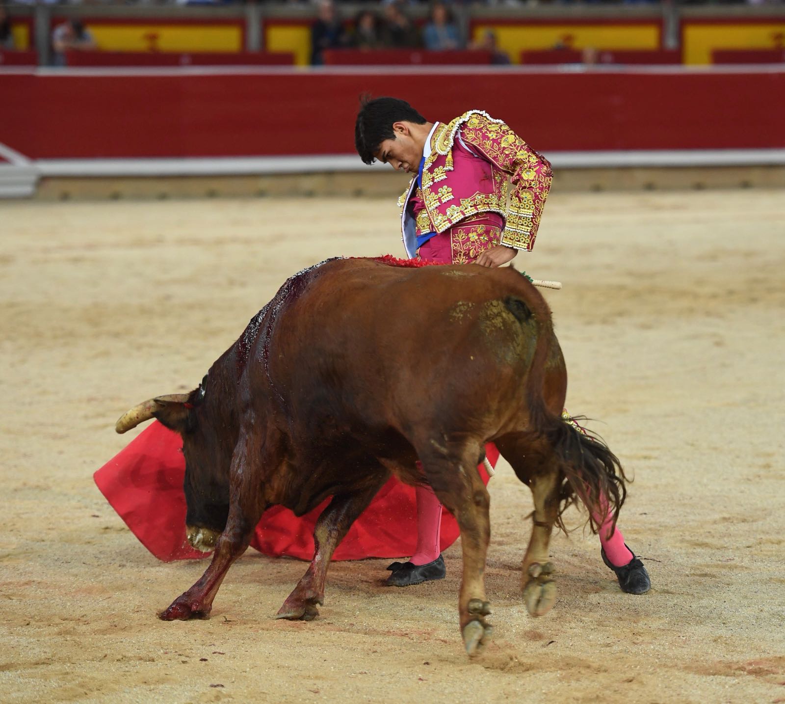 Pamplona, 5 de julio de 2018