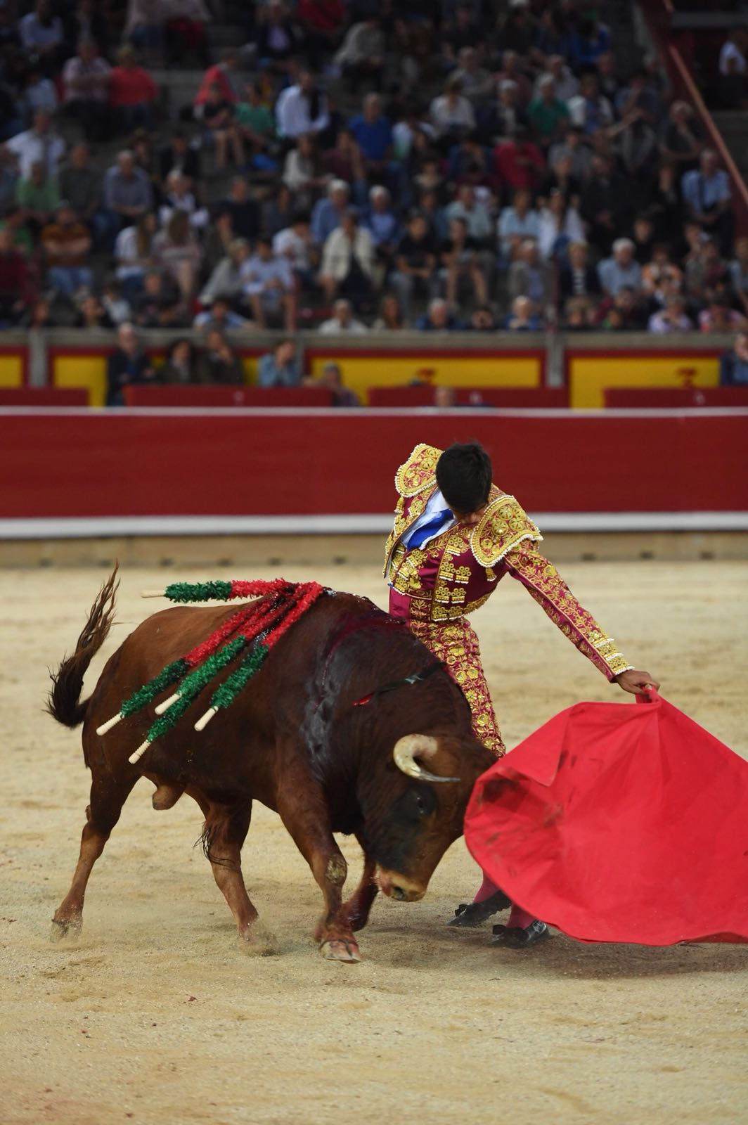 Pamplona, 5 de julio de 2018