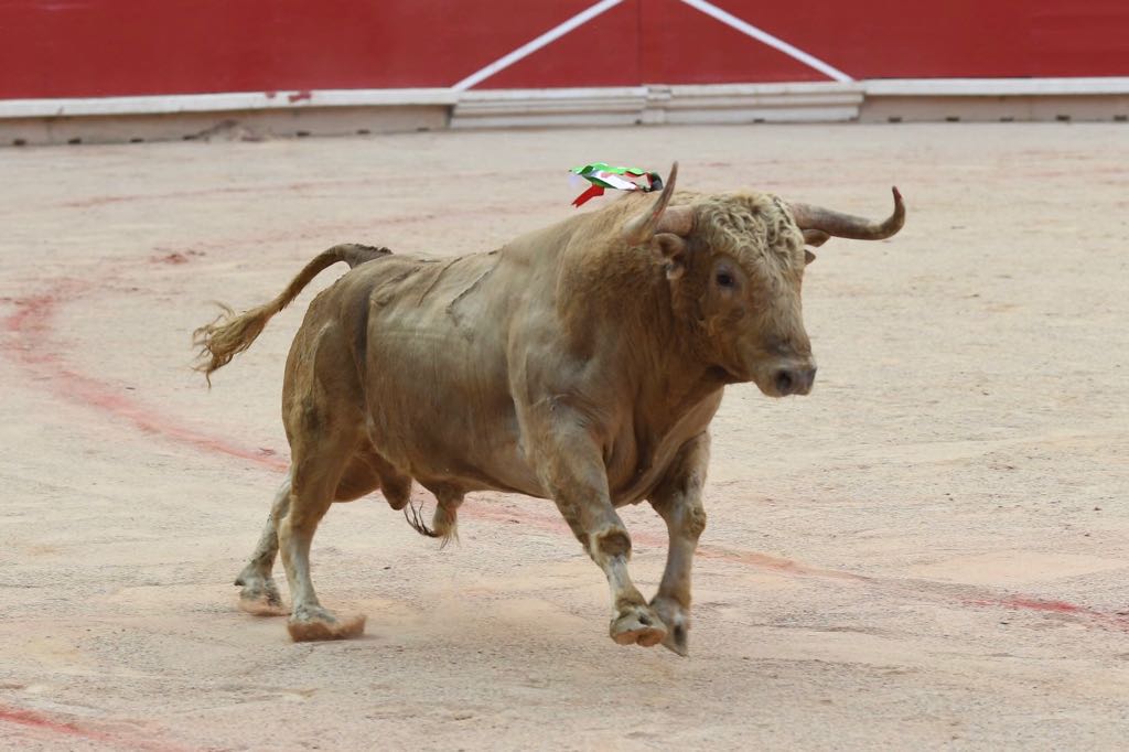 Pamplona, 11 de julio de 2018. Resumen gráfico de la corrida