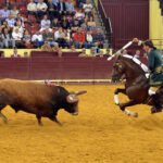 Luis Rouxinol, Filipe Gonçalves y Francisco Palha con toros de Pinto Barreiros