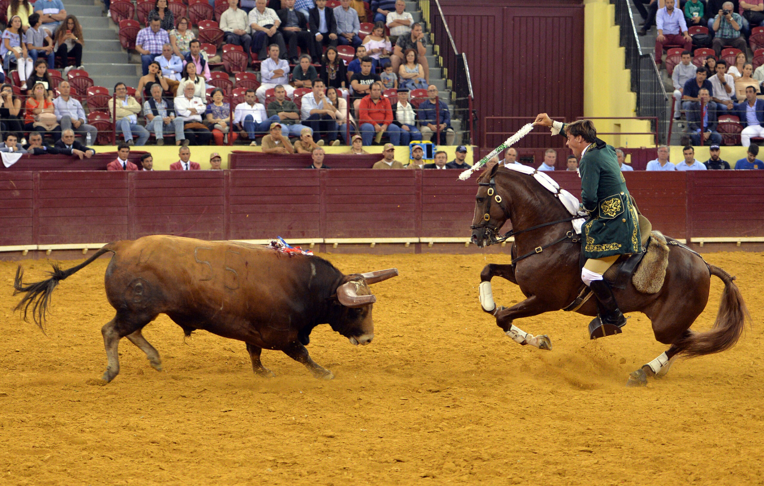 Luis Rouxinol, Filipe Gonçalves y Francisco Palha con toros de Pinto Barreiros