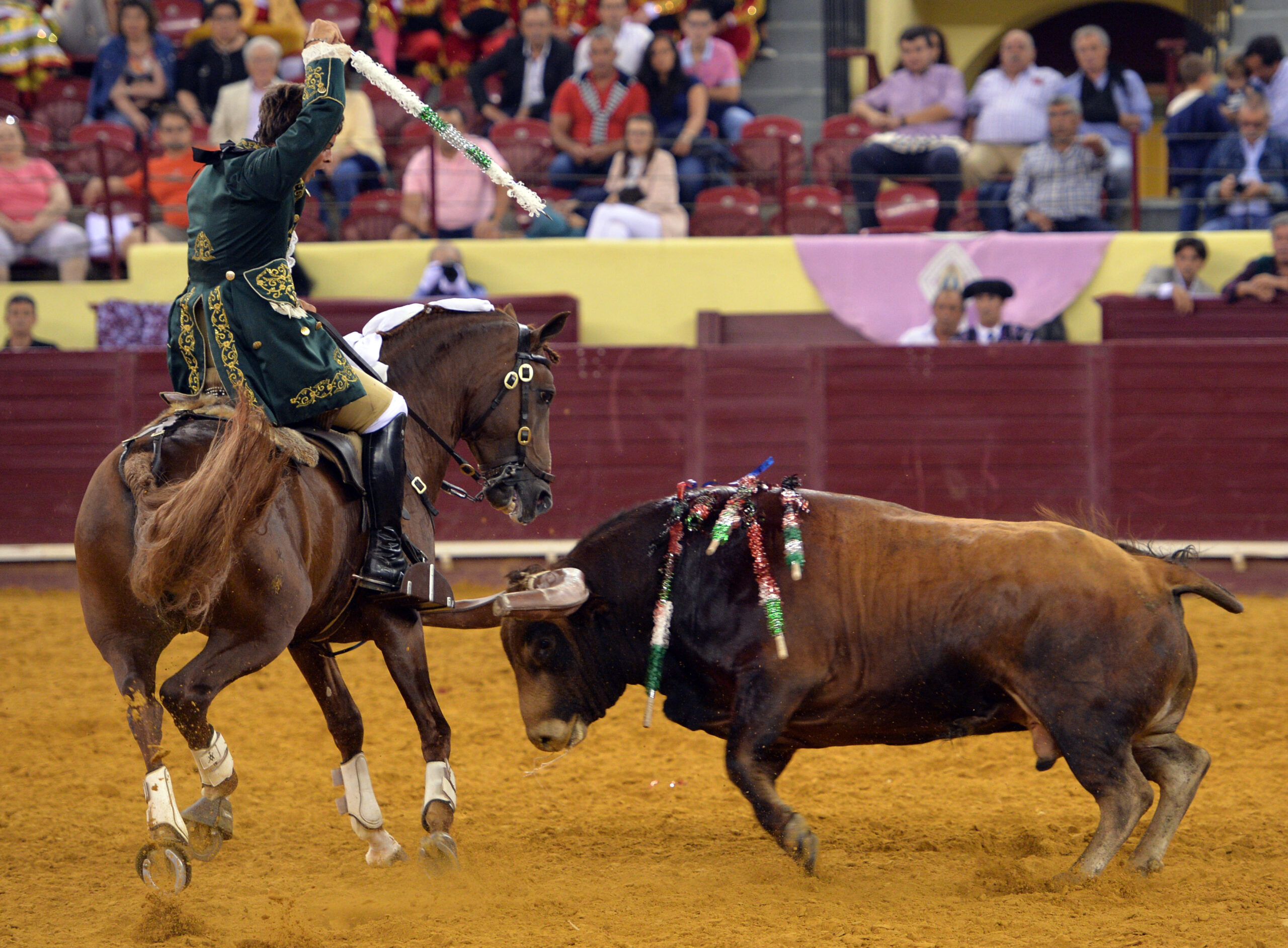 Luis Rouxinol, Filipe Gonçalves y Francisco Palha con toros de Pinto Barreiros