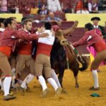 Luis Rouxinol, Filipe Gonçalves y Francisco Palha con toros de Pinto Barreiros