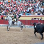 Vila Franca de Xira (Portugal), domingo 8 de julio de 2018