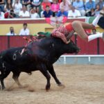 Vila Franca de Xira (Portugal), domingo 8 de julio de 2018
