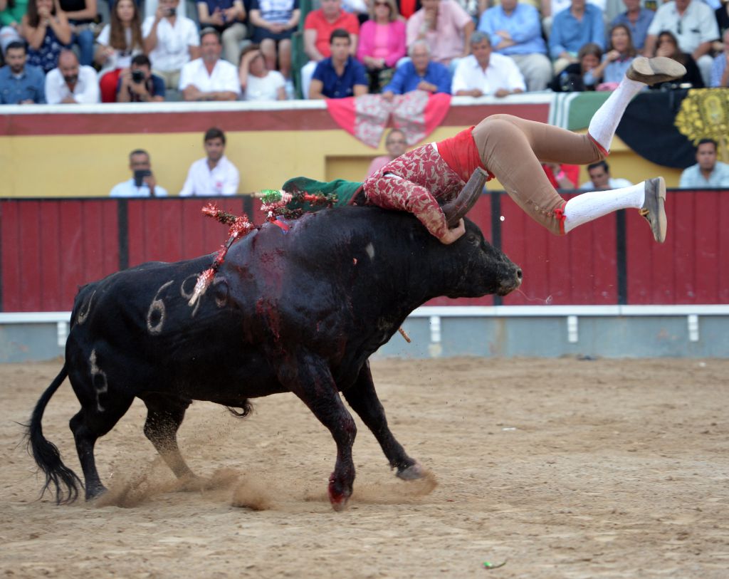 Vila Franca de Xira (Portugal), domingo 8 de julio de 2018
