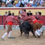 Vila Franca de Xira (Portugal), domingo 8 de julio de 2018
