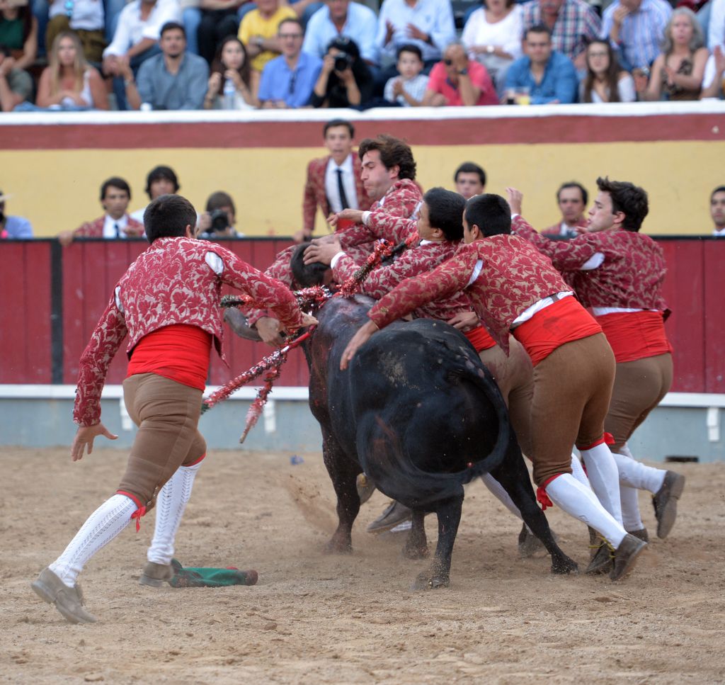 Vila Franca de Xira (Portugal), domingo 8 de julio de 2018