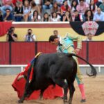 Vila Franca de Xira (Portugal), domingo 8 de julio de 2018