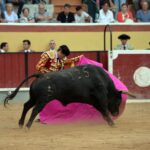 Vila Franca de Xira (Portugal), domingo 8 de julio de 2018