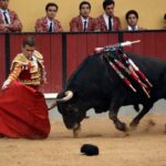 Vila Franca de Xira (Portugal), domingo 8 de julio de 2018