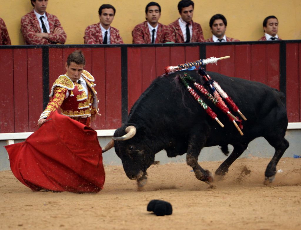 Vila Franca de Xira (Portugal), domingo 8 de julio de 2018