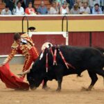 Vila Franca de Xira (Portugal), domingo 8 de julio de 2018