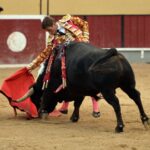 Vila Franca de Xira (Portugal), domingo 8 de julio de 2018