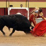 Vila Franca de Xira (Portugal), domingo 8 de julio de 2018