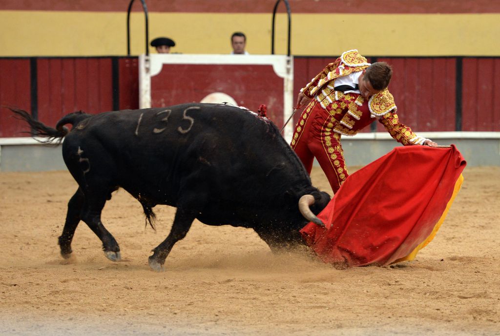 Vila Franca de Xira (Portugal), domingo 8 de julio de 2018