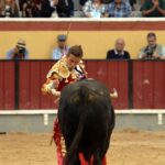 Vila Franca de Xira (Portugal), domingo 8 de julio de 2018