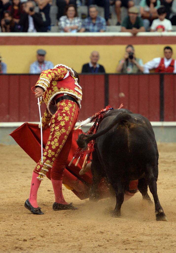 Vila Franca de Xira (Portugal), domingo 8 de julio de 2018