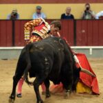 Vila Franca de Xira (Portugal), domingo 8 de julio de 2018