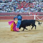 Soria - Corrida de toros - Domingo 1 de julio de 2018