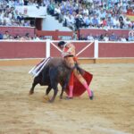 Soria - Corrida de toros - Domingo 1 de julio de 2018
