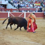 Soria - Corrida de toros - Domingo 1 de julio de 2018