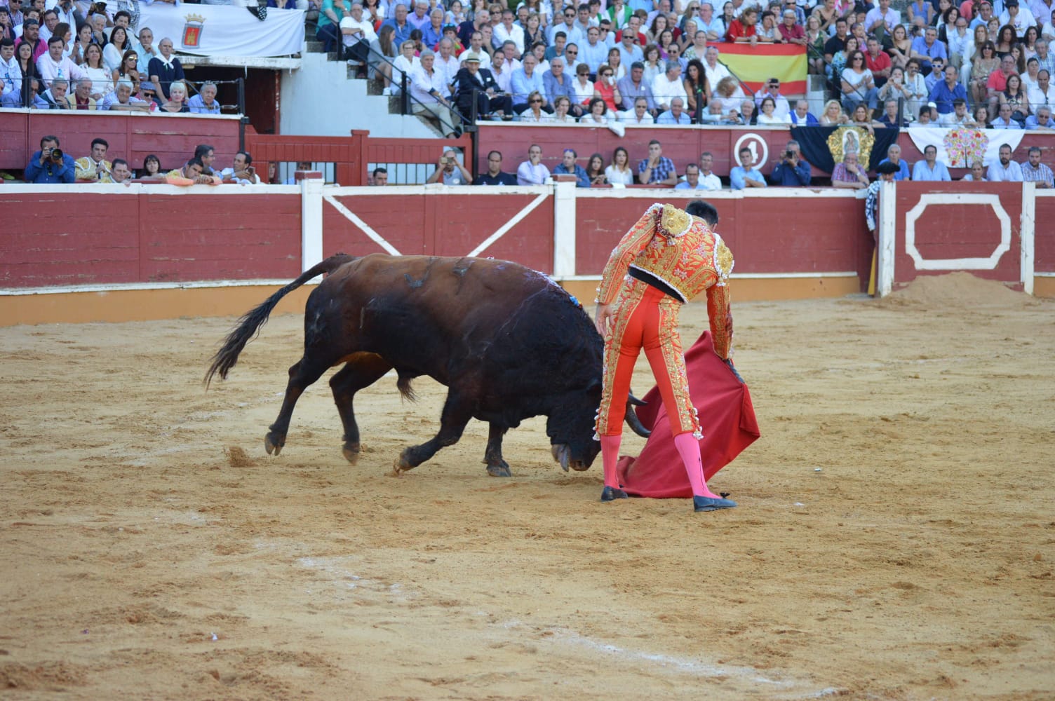 Soria - Corrida de toros - Domingo 1 de julio de 2018