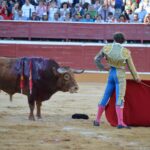 Soria - Corrida de toros - Domingo 1 de julio de 2018