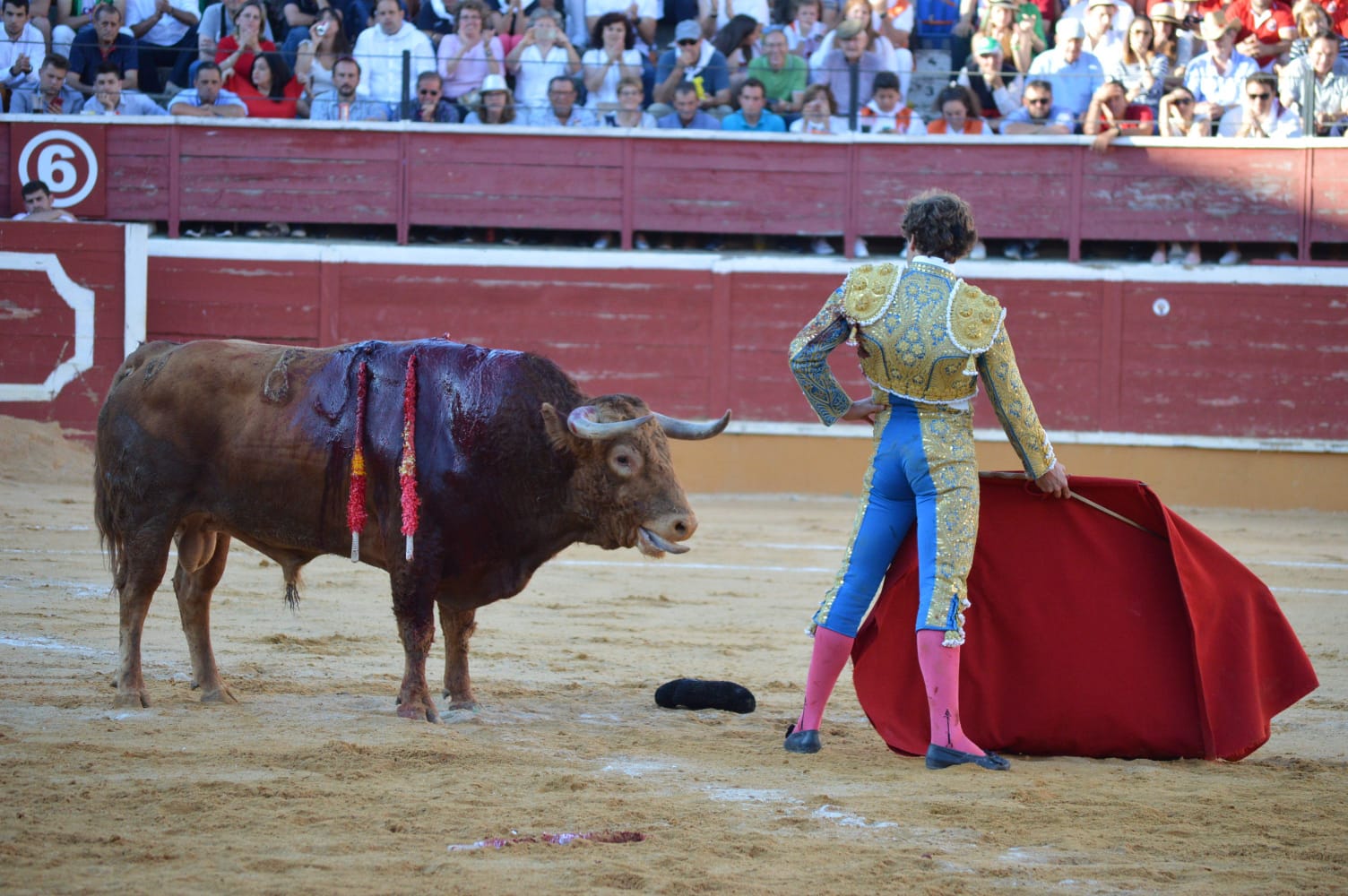 Soria - Corrida de toros - Domingo 1 de julio de 2018