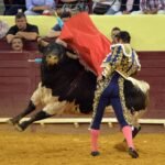 Lisboa, 5 de julio de 2018.