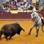 Lisboa, 5 de julio de 2018.