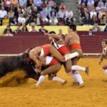 Lisboa, 5 de julio de 2018.