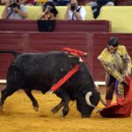 Lisboa, 5 de julio de 2018.