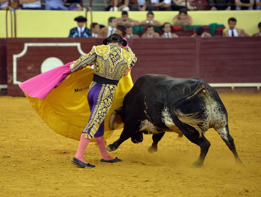 Lisboa, 5 de julio de 2018.