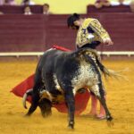 Lisboa, 5 de julio de 2018.