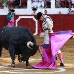 Saint Vincent de Tyrosse (Francia) - Desafío ganadero - Domingo 22 de julio de 2018