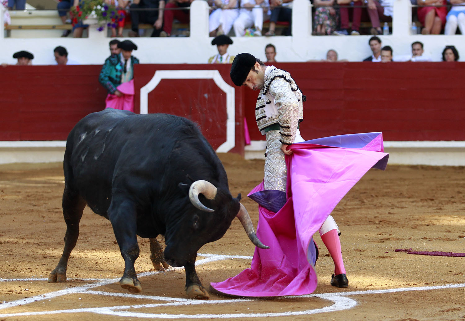 Saint Vincent de Tyrosse (Francia) - Desafío ganadero - Domingo 22 de julio de 2018