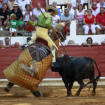 Saint Vincent de Tyrosse (Francia) - Desafío ganadero - Domingo 22 de julio de 2018