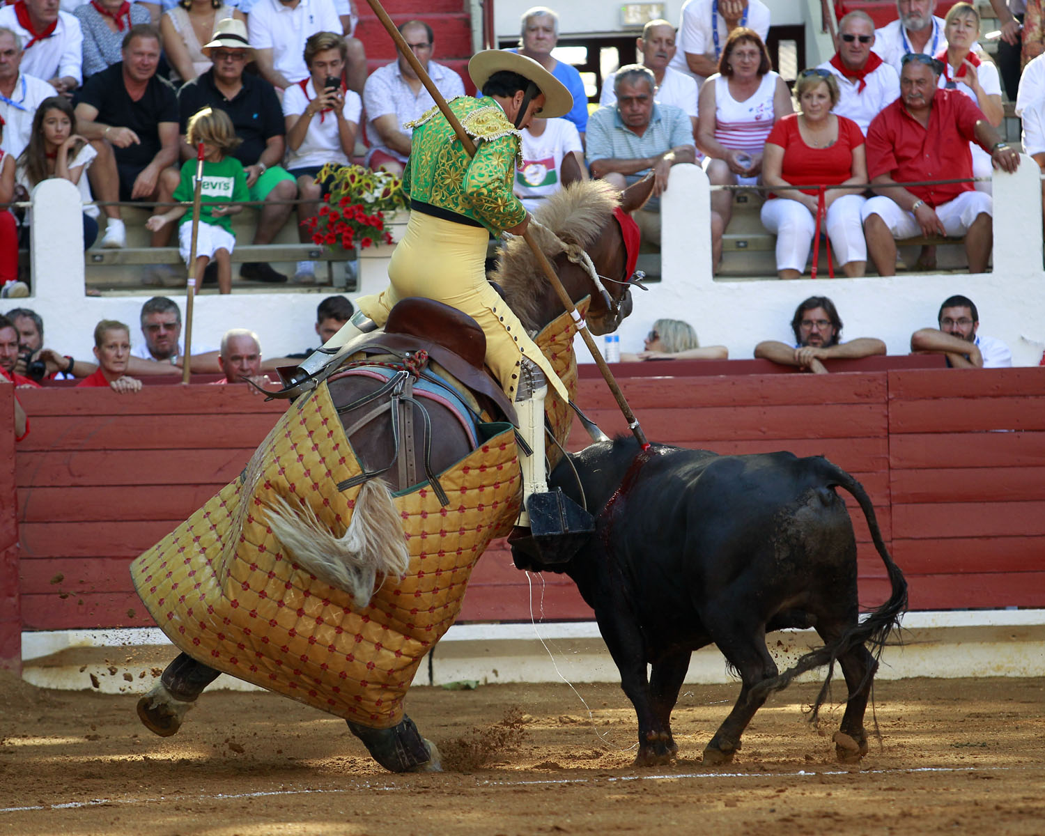 Saint Vincent de Tyrosse (Francia) - Desafío ganadero - Domingo 22 de julio de 2018