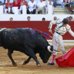 Saint Vincent de Tyrosse (Francia) - Desafío ganadero - Domingo 22 de julio de 2018