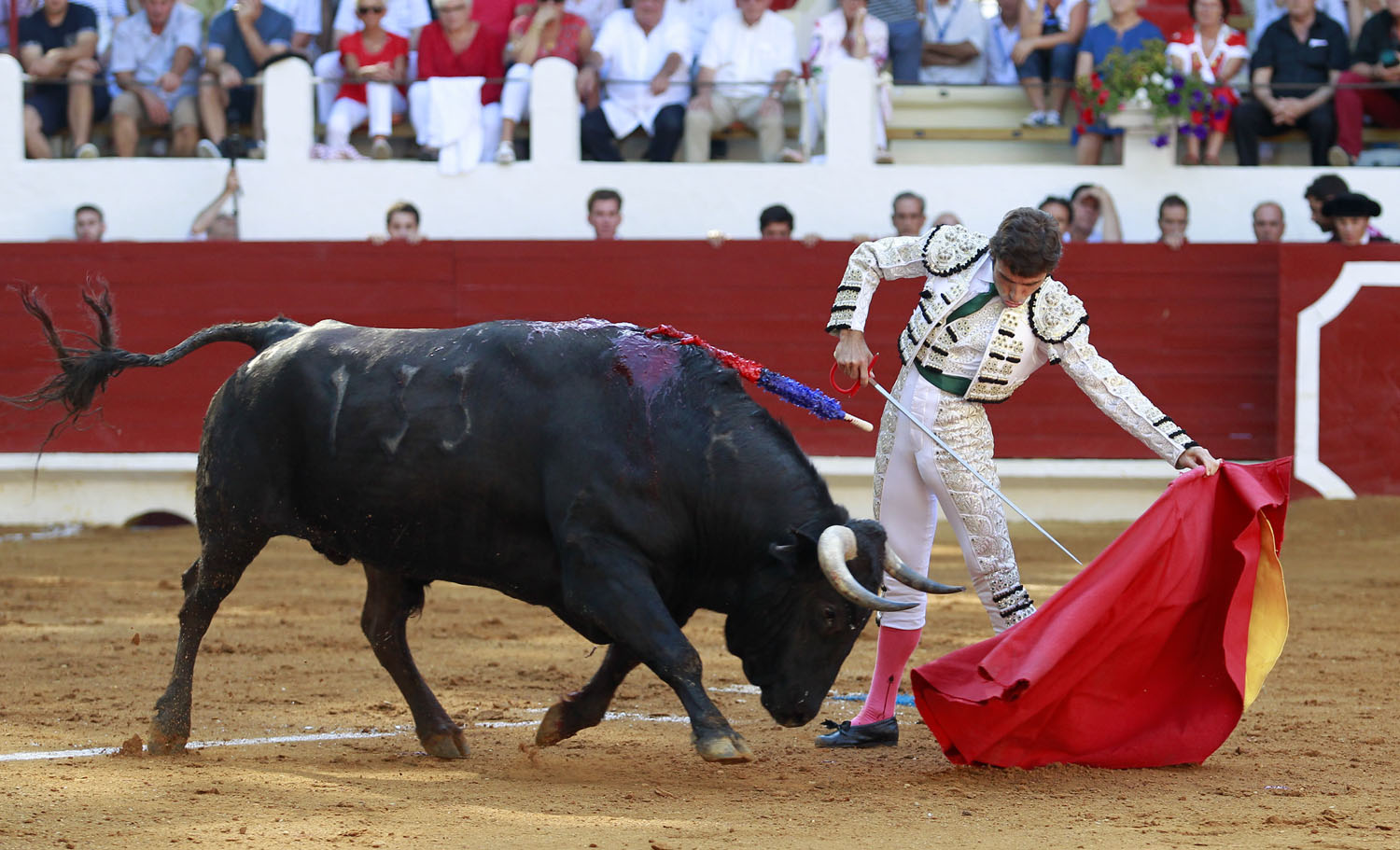 Saint Vincent de Tyrosse (Francia) - Desafío ganadero - Domingo 22 de julio de 2018