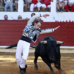 Saint Vincent de Tyrosse (Francia) - Desafío ganadero - Domingo 22 de julio de 2018