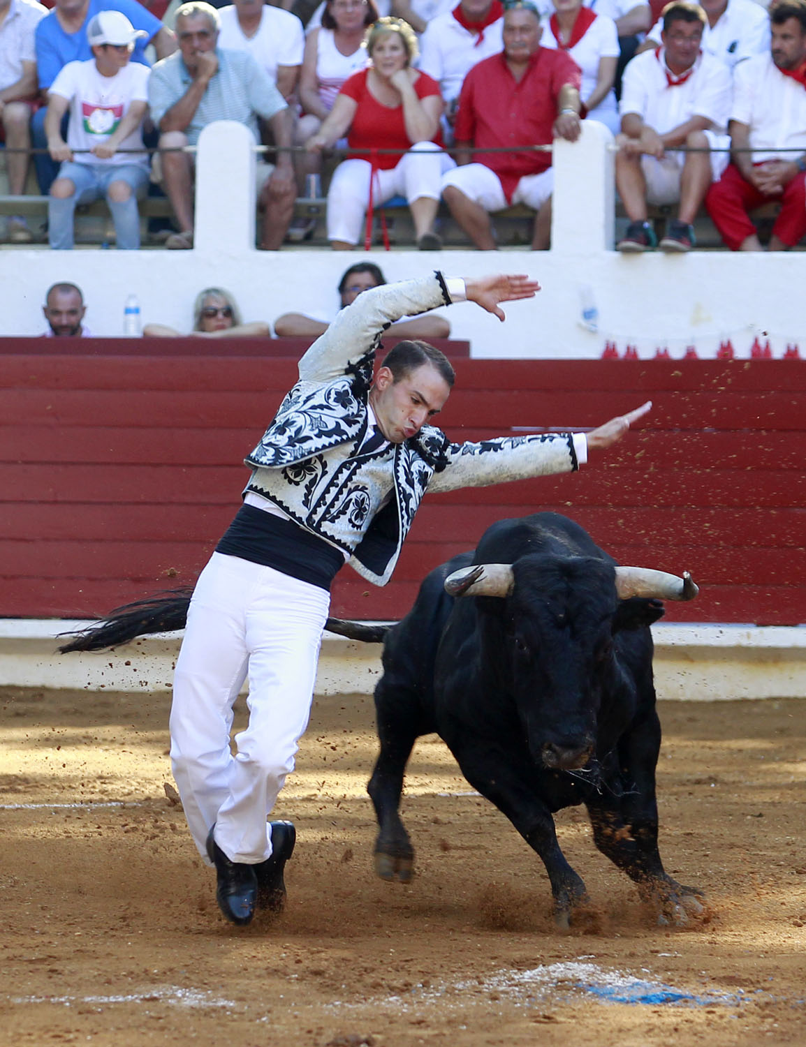 Saint Vincent de Tyrosse (Francia) - Desafío ganadero - Domingo 22 de julio de 2018