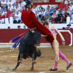 Saint Vincent de Tyrosse (Francia) - Desafío ganadero - Domingo 22 de julio de 2018