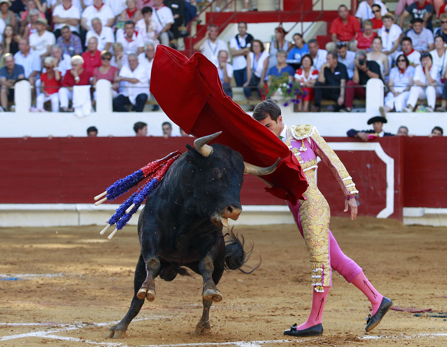 Saint Vincent de Tyrosse (Francia) - Desafío ganadero - Domingo 22 de julio de 2018