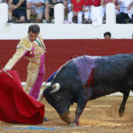 Saint Vincent de Tyrosse (Francia) - Desafío ganadero - Domingo 22 de julio de 2018