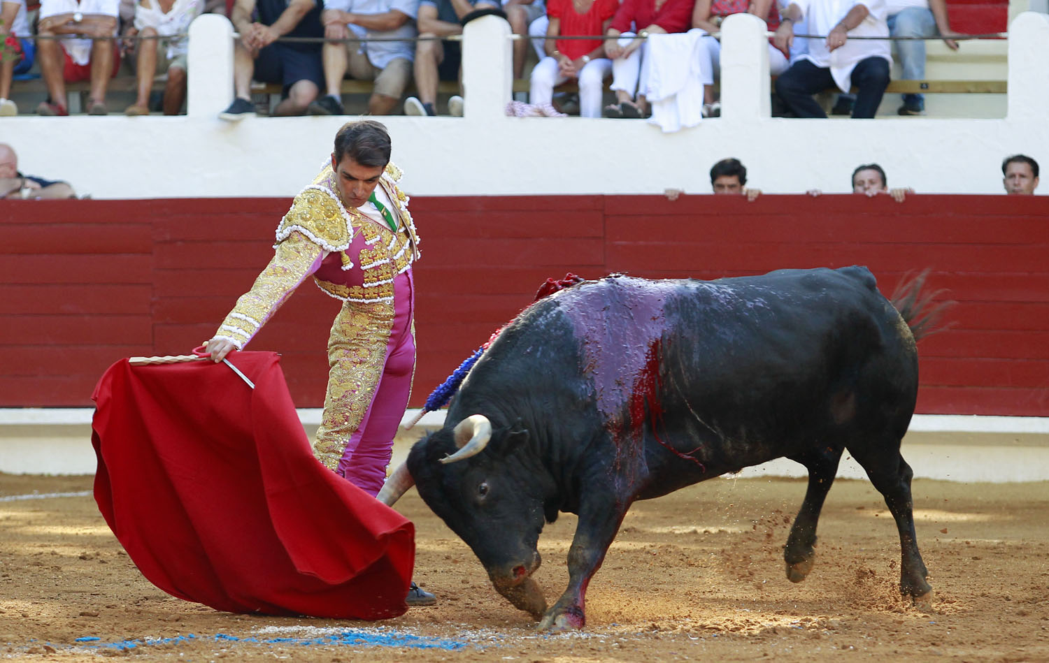 Saint Vincent de Tyrosse (Francia) - Desafío ganadero - Domingo 22 de julio de 2018